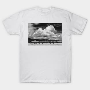 Colorado Cattle Ranch In Black and White T-Shirt